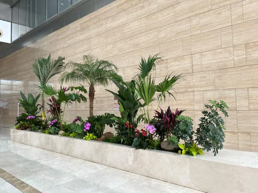 宁波江北盆景租赁服务好 宁波江北盆景租赁服务好